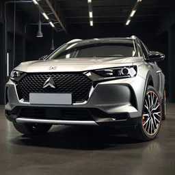 DS DS 3