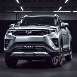 BYD Tang Ev STE2