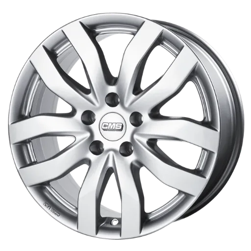 CMS C22